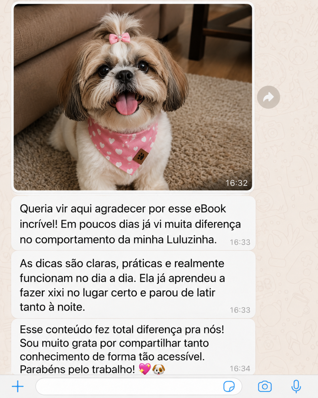 Depoimento 5