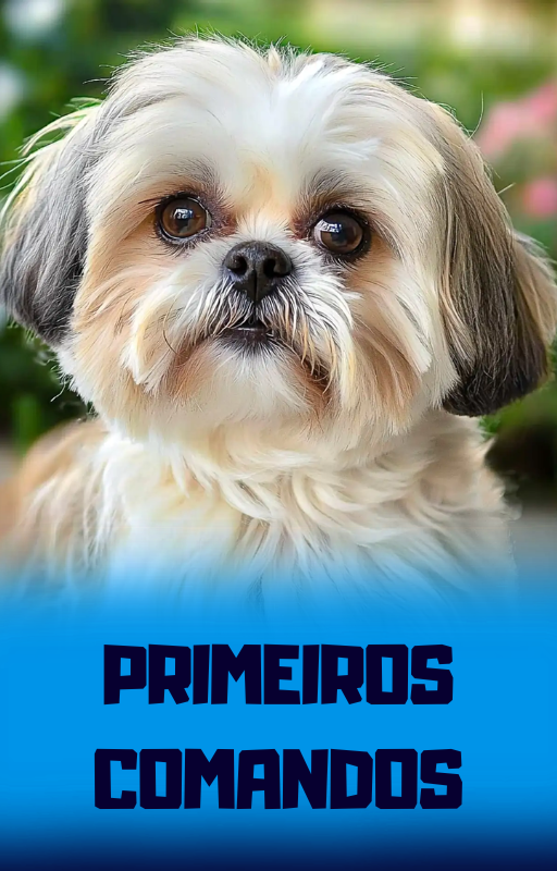 Página do e-book 4