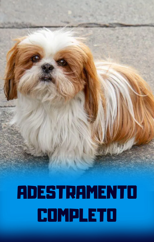 Página do e-book 6