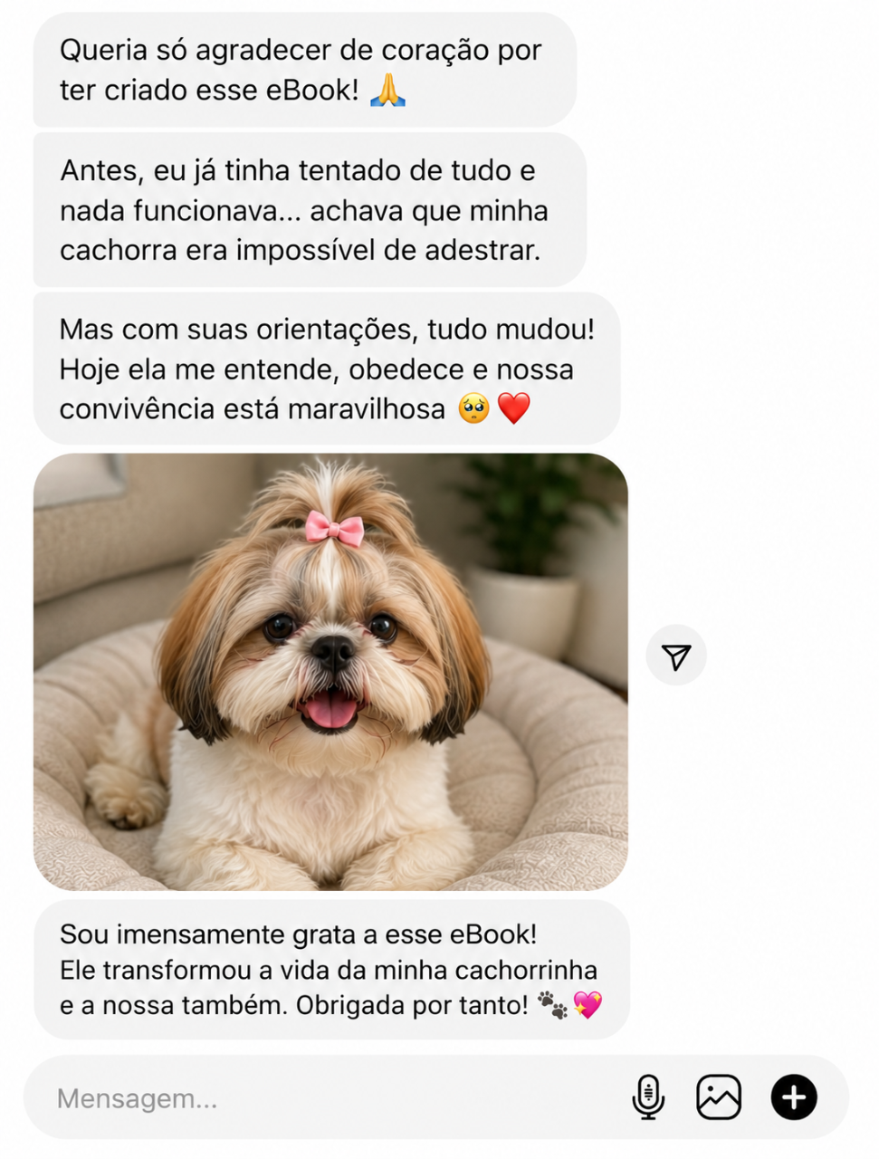 Depoimento 2
