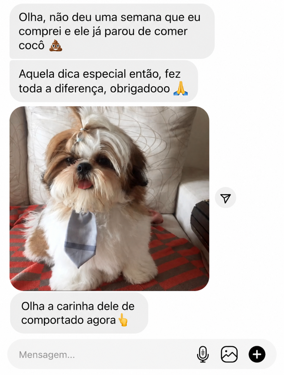 Depoimento 1