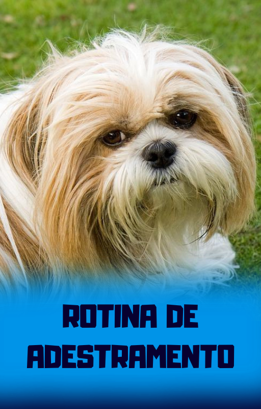 Página do e-book 3