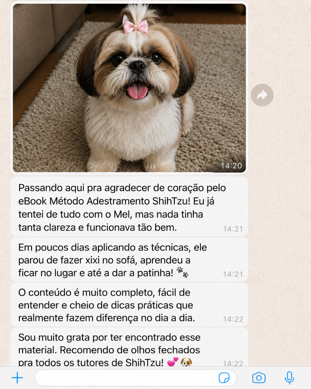 Depoimento 6